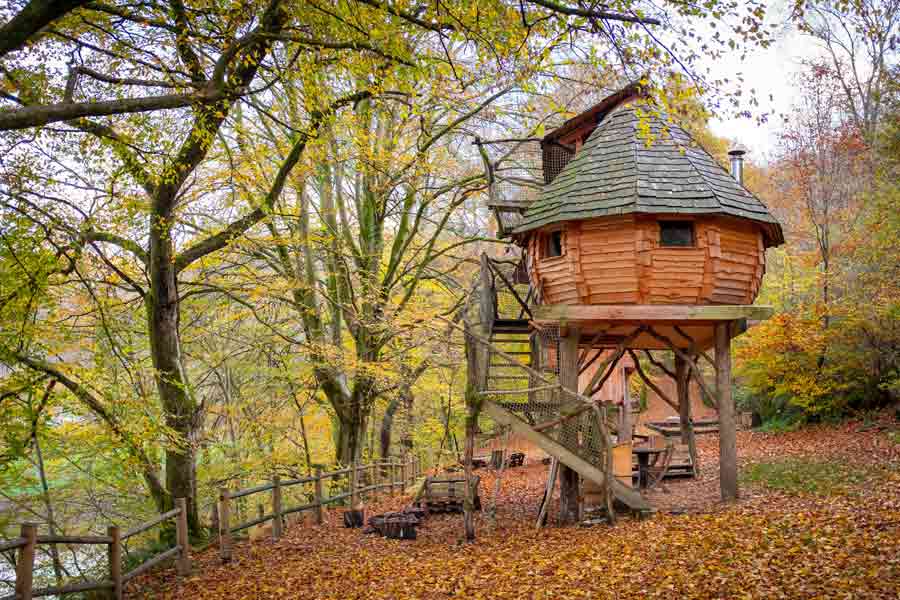 Cabane en bois perchée dans la forêt des Vosges en automne, entourée de feuilles dorées