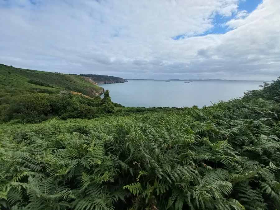 Vue sur la baie de Douarnenez depuis la lande de fougères avec falaises et côte découpée du cap de la chèvre en Bretagne
