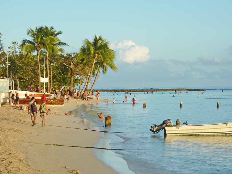 plage de Sainte-Anne (Guadeloupe) en avril avec sable blanc, cocotiers et eau turquoise calme