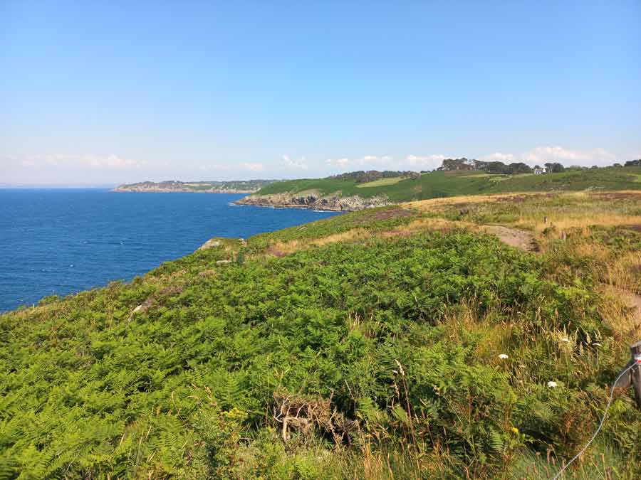 Lande bretonne et falaises dominant la baie de Douarnenez le long du sentier côtier du Cap Sizun