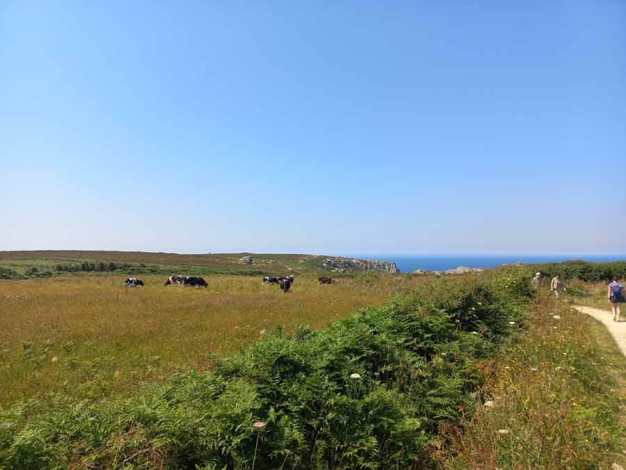 Prairies et sentier de randonnée menant à la pointe du Van en Finistère Bretagne