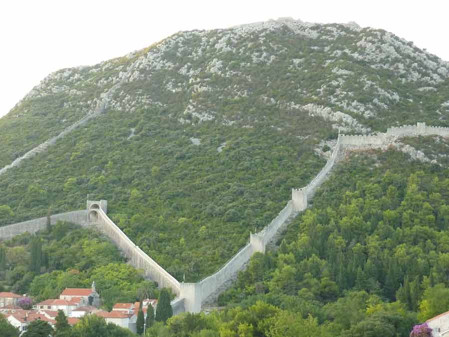 Remparts de Ston en Croatie serpentant sur la colline verdoyante, vue panoramique des fortifications médiévales