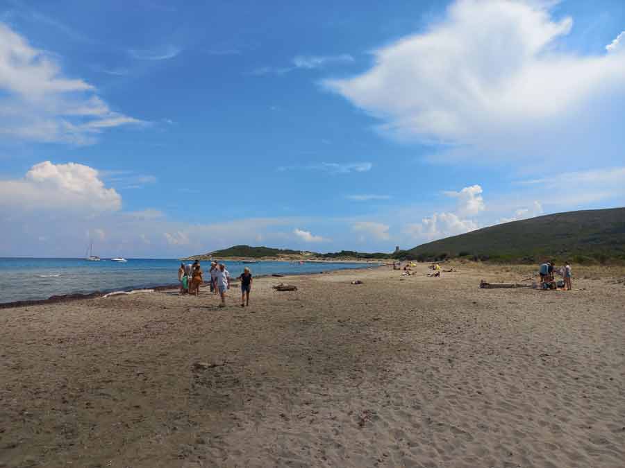 Plage de sable de Barcaggio avec quelques promeneurs, Cap Corse