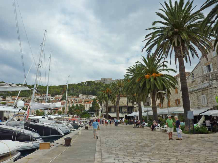 Le port de plaisance de Hvar avec ses voiliers et sa promenade ombragée de palmiers, la forteresse Fortica en arrière-plan