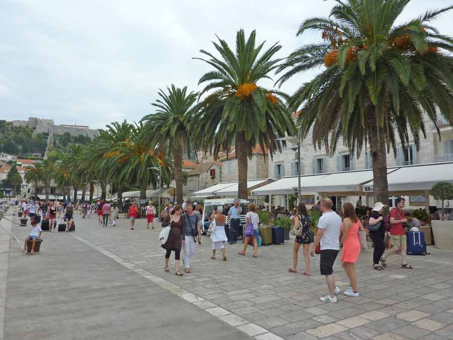 La promenade du front de mer de Hvar bordée de palmiers et de terrasses animées