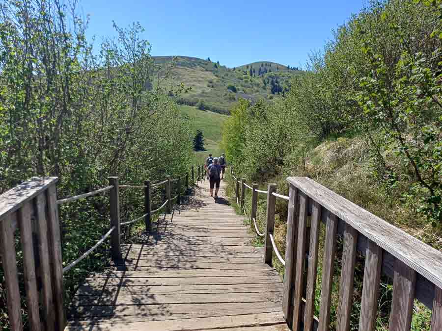 Randonneurs descendant les escaliers en bois aménagés sur le sentier du puy Pariou, entourés de végétation verdoyante avec le cône volcanique visible en arrière-plan, dans la Chaîne des Puys en Auvergne