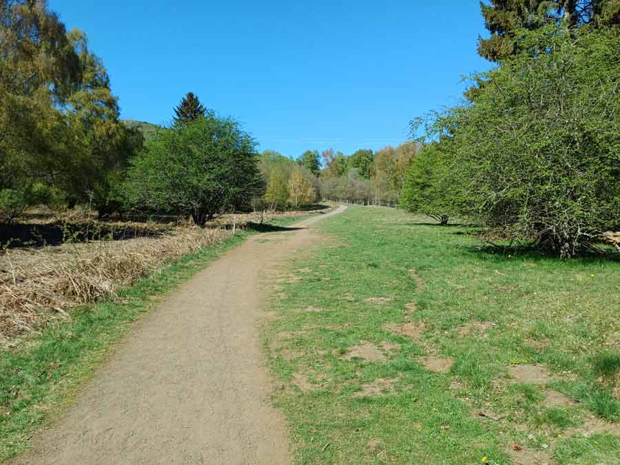 Chemin de randonnée bien balisé et dégagé au pied du puy Pariou, longeant prairies et bosquets dans la Chaîne des Puys en Auvergne par beau temps