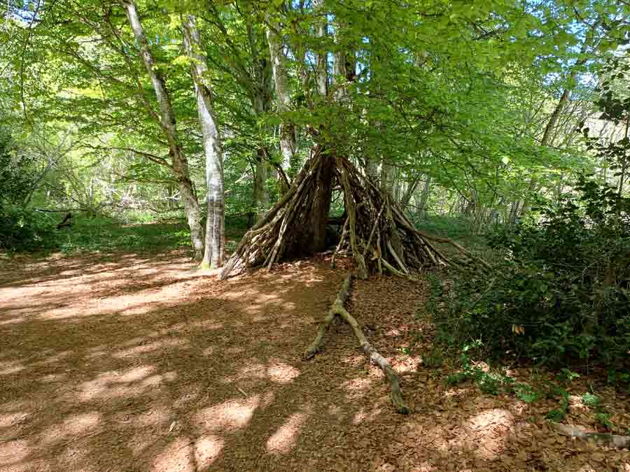 Cabane en branches construite naturellement au cœur de la forêt de hêtres sur le sentier du puy Pariou