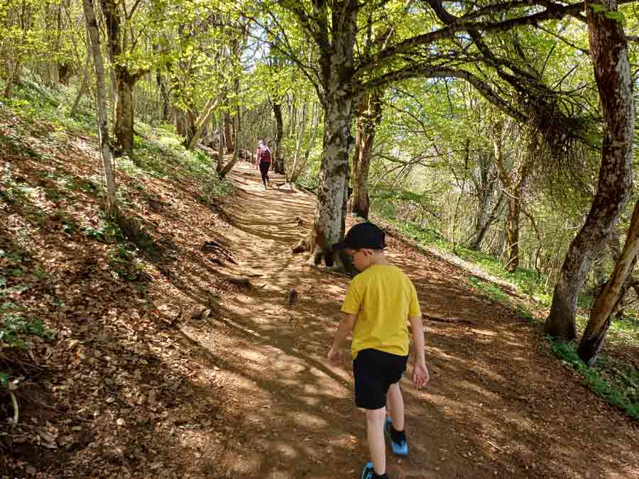 Enfant en train de monter le sentier forestier du puy Pariou en Auvergne, une randonnée accessible aux familles avec enfants dans la Chaîne des Puys