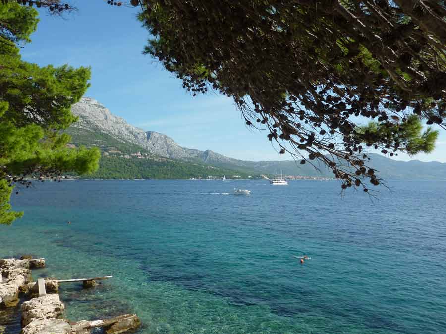 Vue encadrée par les pins sur les eaux turquoise du canal de Pelješac depuis les abords de la plage Zakerjan à Korčula