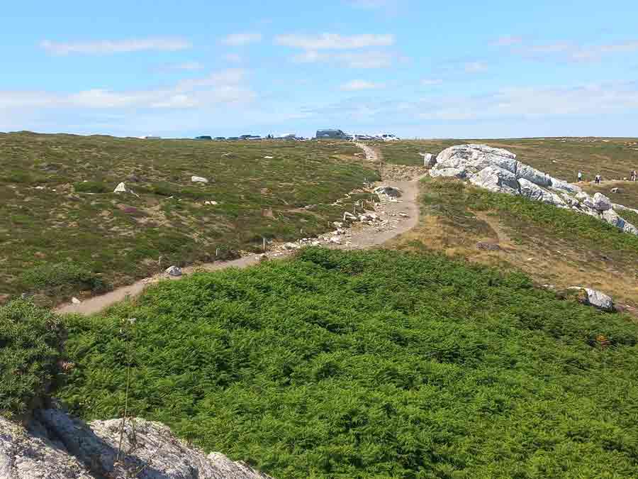 Sentier côtier GR 34 serpentant à travers la lande verdoyante de la pointe de Pen Hir, avec le parking en arrière-plan