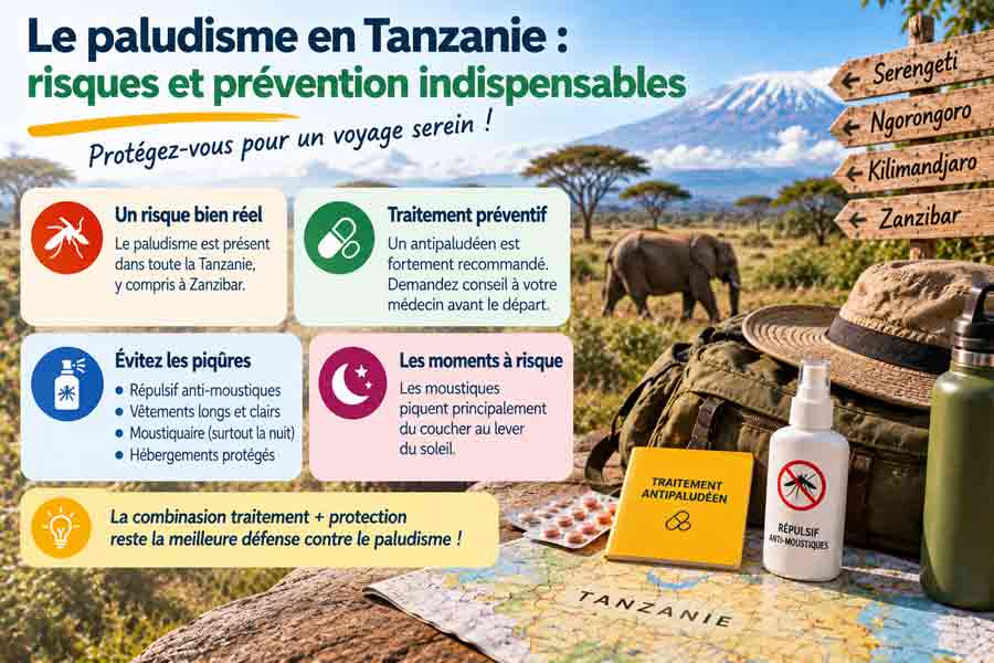 Infographie sur la prévention du paludisme en Tanzanie : traitement antipaludéen, répulsifs et moustiquaire, avec du matériel de voyage posé sur une carte devant le Kilimandjaro