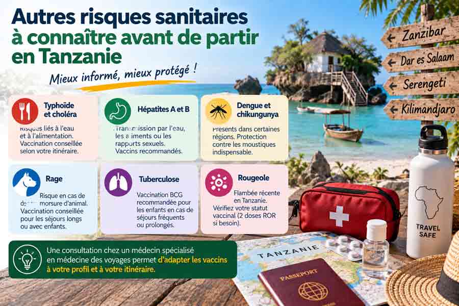 Infographie sur les autres risques sanitaires en Tanzanie : typhoïde, hépatites, dengue, rage, tuberculose et rougeole, avec une trousse de premiers secours et un passeport devant une plage de Zanzibar